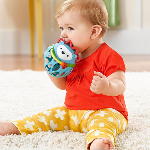 Skip Hop Explore & More Roll Around Rattle Hedgehog