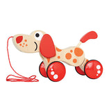 Hape Walk-A-Long Puppy/FSC