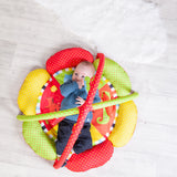 RedKite Baby Play Gym Safari Petal-Multi-Coloured