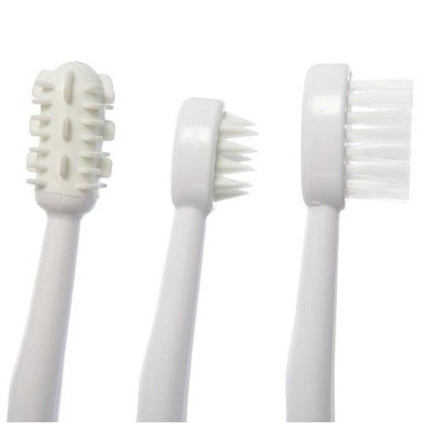 Dreambaby® Toothbrush Set 3 Stage White