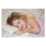 Babyworks Toddler Pillow with Bamboo Pillow Case | بيبيوركس طفل وسادة مع الخيزران وسادة القضية